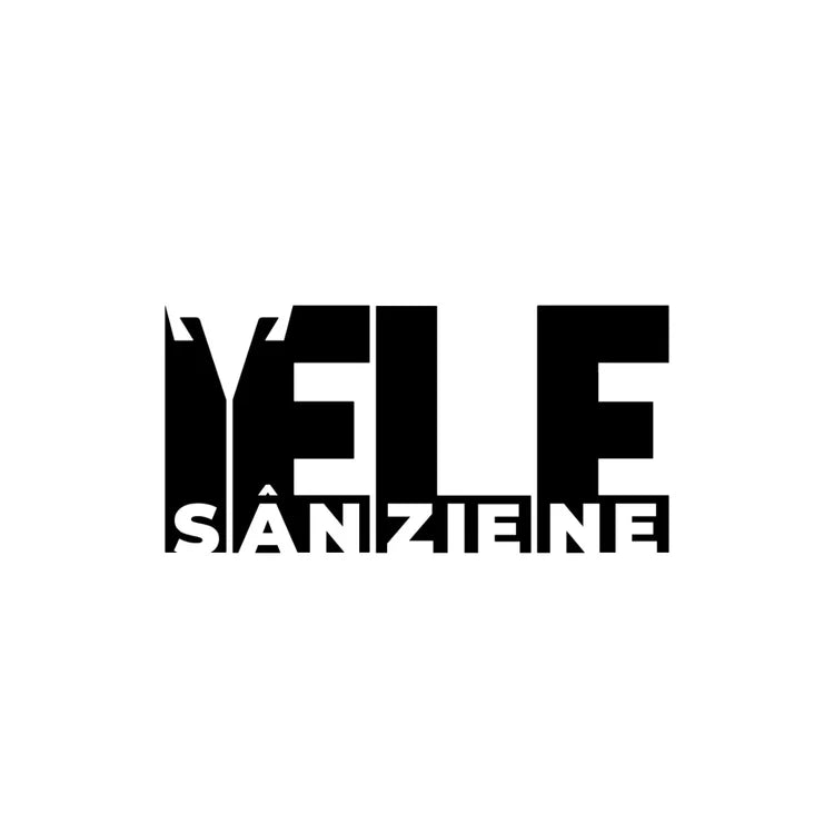 Logo von Iele Sânziene