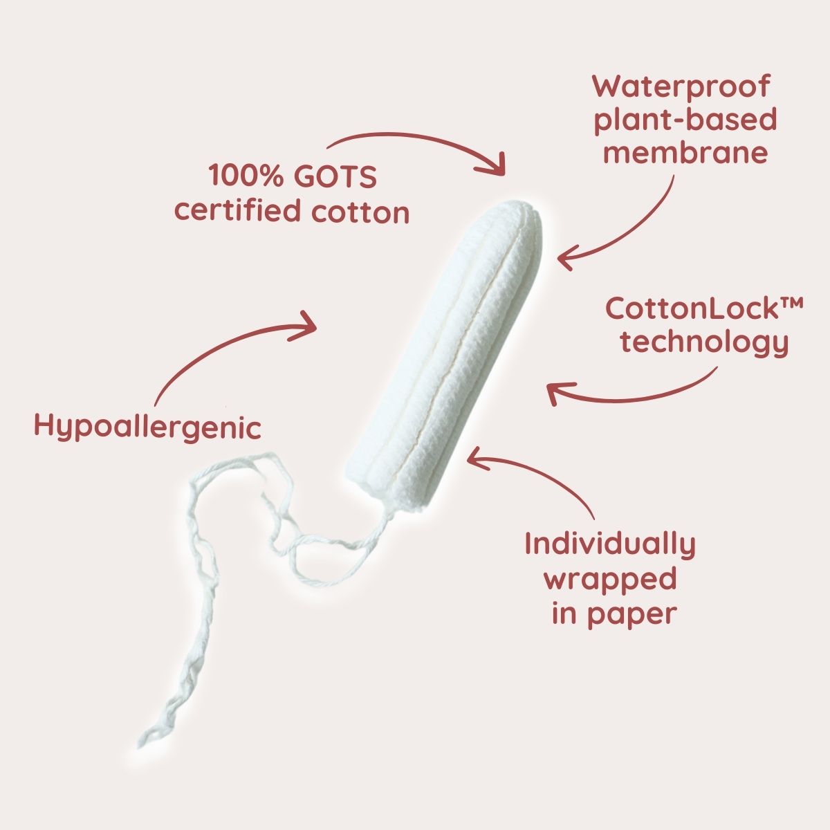 Probierpackung | Bio-Einweg-Menstruationsprodukte