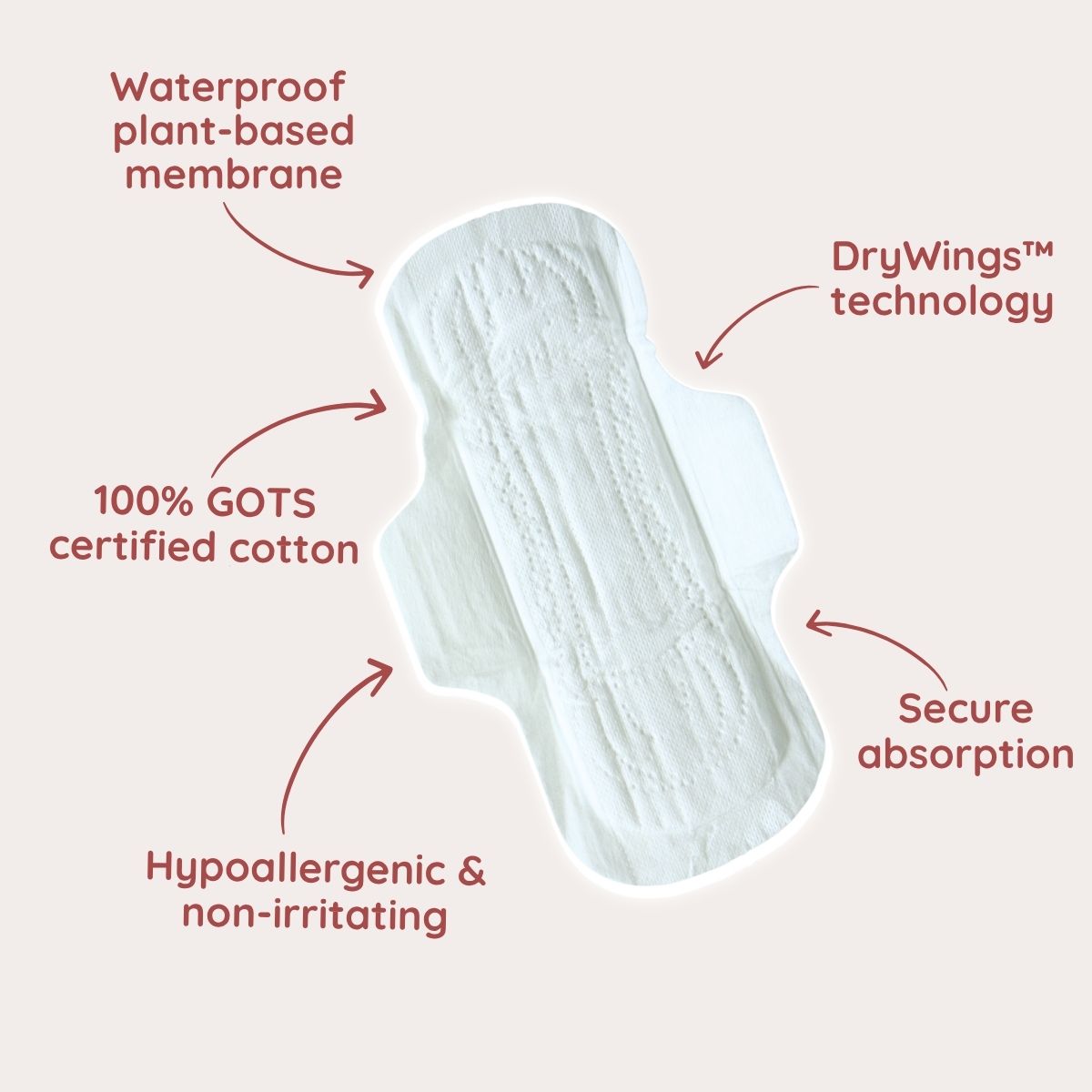 Probierpackung | Bio-Einweg-Menstruationsprodukte